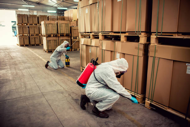 Professional Pest Control in Ripley, TN