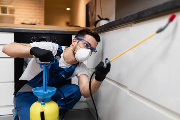 Best Residential Pest Control  in Ripley, TN