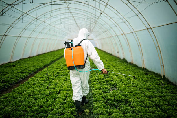 Best Pest Inspection Near Me  in Ripley, TN